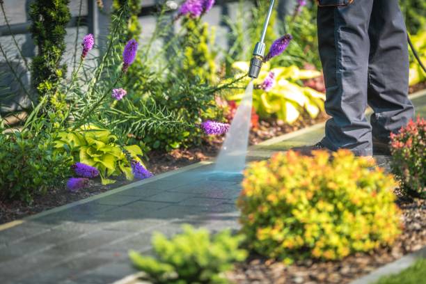 Best Gas Station Cleaning  in Belhaven, NC