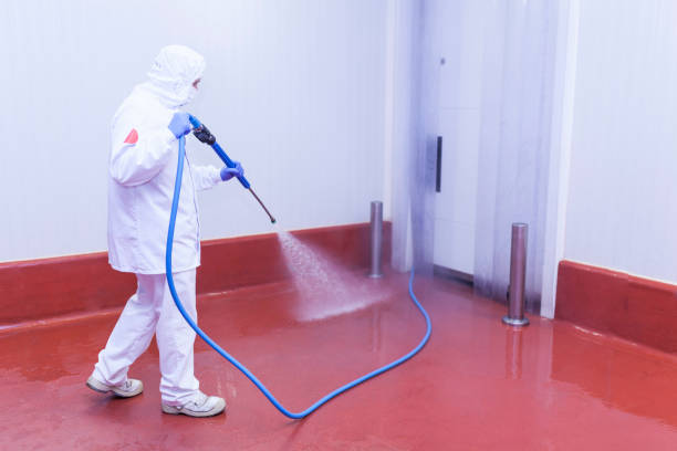 Best Solar Panel Cleaning  in Belhaven, NC