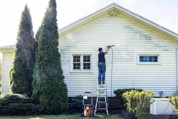 Best Restaurant Pressure Washing  in Belhaven, NC